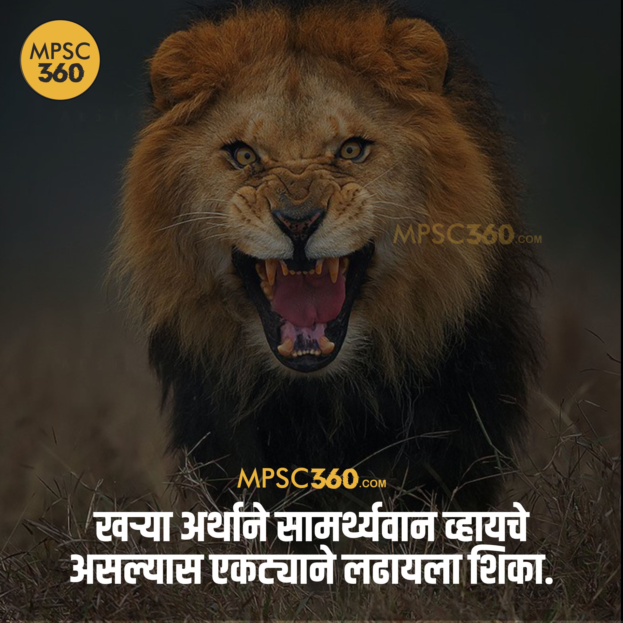 Marathi Motivational Quotes Images - MPSC 360
